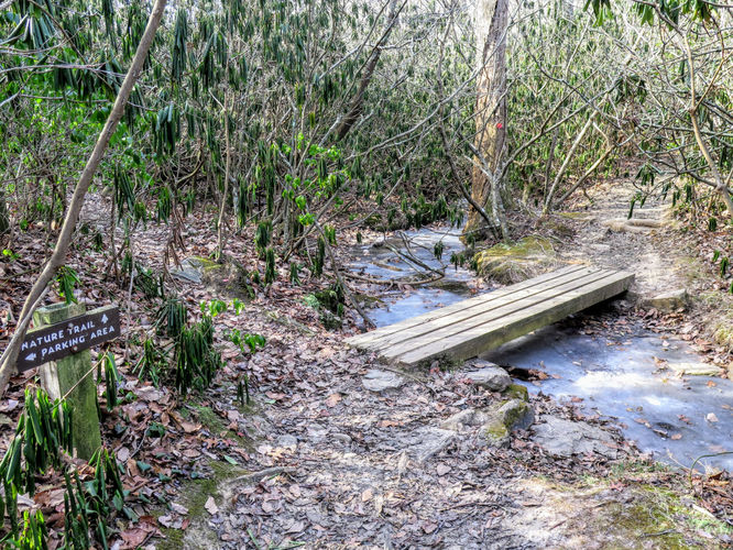 Picture 11 of Moores Knob Hike 010718