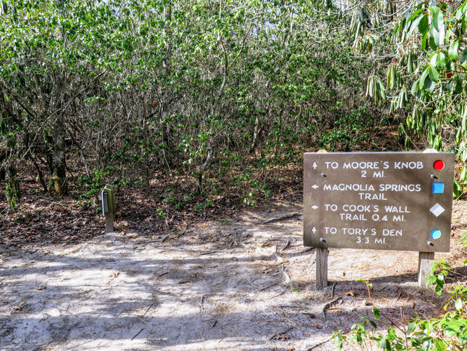 Picture 14 of Moores Knob Hike 010718
