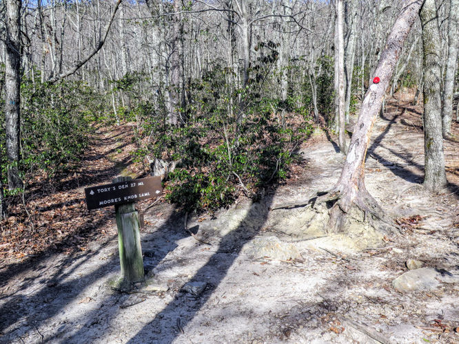 Picture 15 of Moores Knob Hike 010718