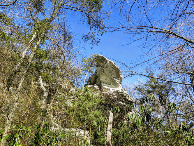 Picture 16 of Moores Knob Hike 010718