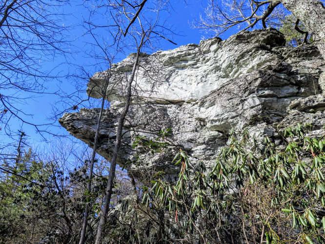 Picture 18 of Moores Knob Hike 010718
