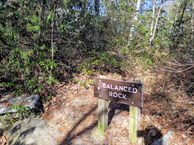 Picture 20 of Moores Knob Hike 010718