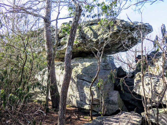 Picture 21 of Moores Knob Hike 010718