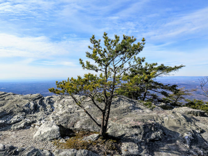 Picture 33 of Moores Knob Hike 010718