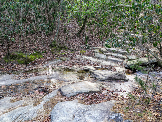 Picture 35 of Moores Knob Hike 010718