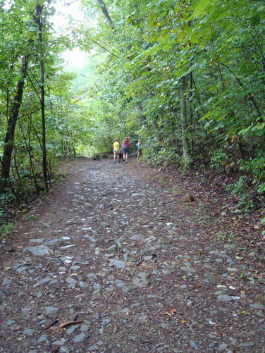 Picture 3 of Moormans River Hike 081410
