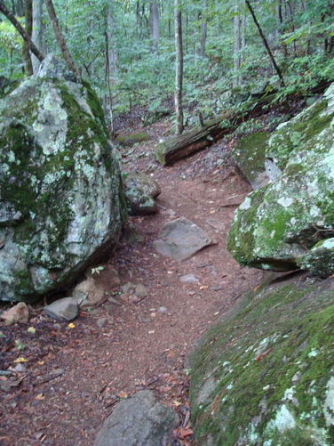 Picture 4 of Moormans River Hike 081410