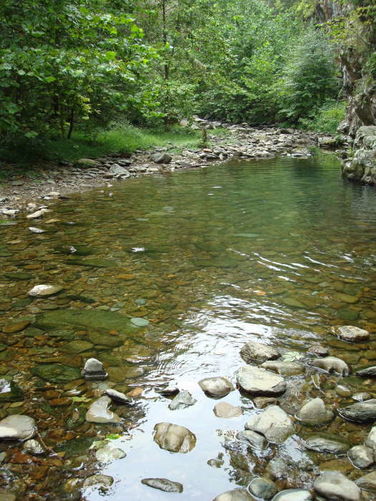 Picture 6 of Moormans River Hike 081410