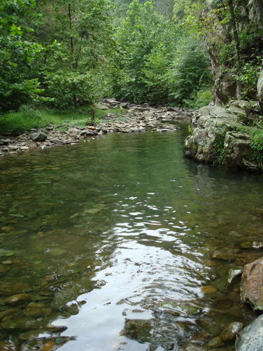 Picture 8 of Moormans River Hike 081410