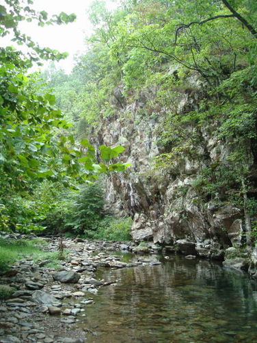 Picture 9 of Moormans River Hike 081410