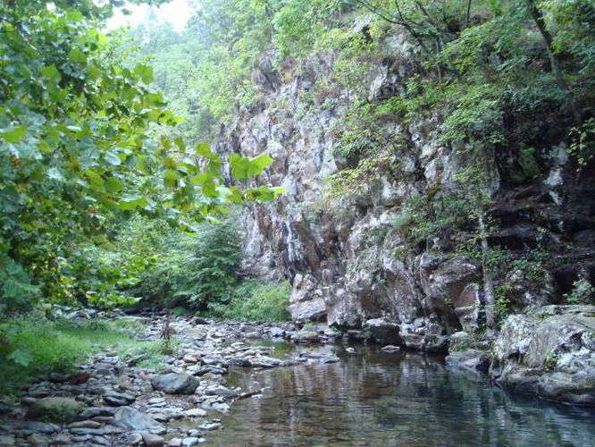 Picture 10 of Moormans River Hike 081410