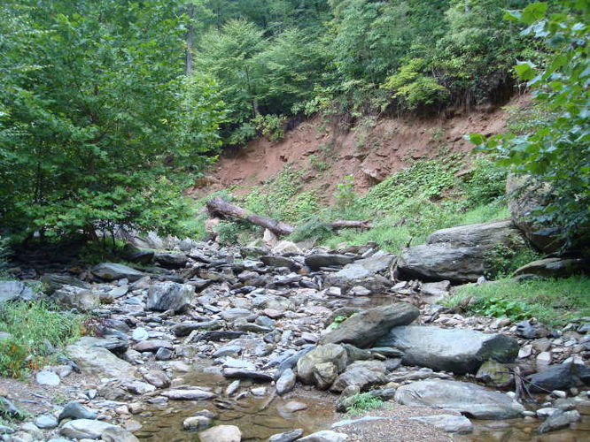 Picture 12 of Moormans River Hike 081410