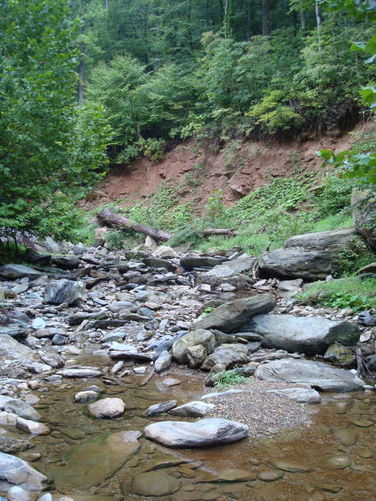 Picture 13 of Moormans River Hike 081410