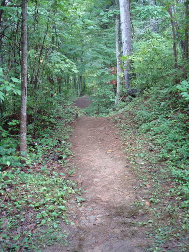 Picture 14 of Moormans River Hike 081410