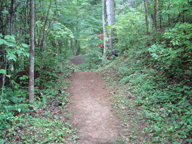Picture 15 of Moormans River Hike 081410
