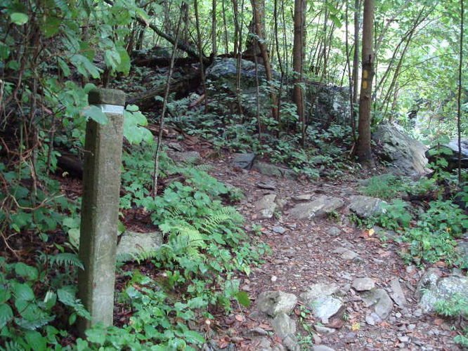 Picture 16 of Moormans River Hike 081410