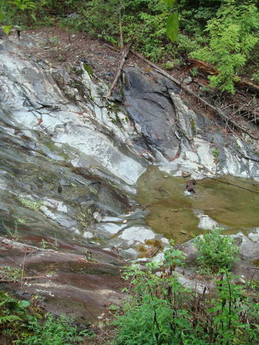 Picture 18 of Moormans River Hike 081410