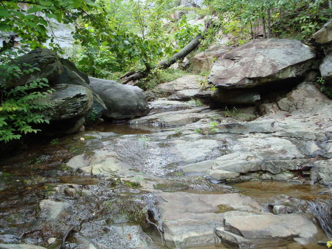Picture 19 of Moormans River Hike 081410