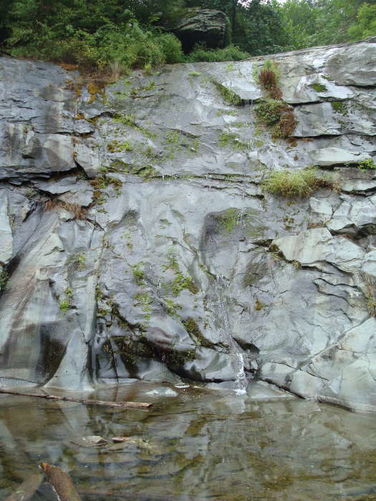 Picture 20 of Moormans River Hike 081410