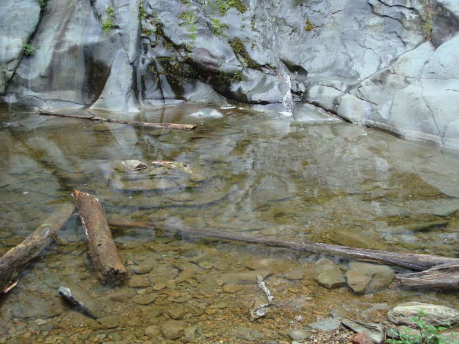 Picture 21 of Moormans River Hike 081410