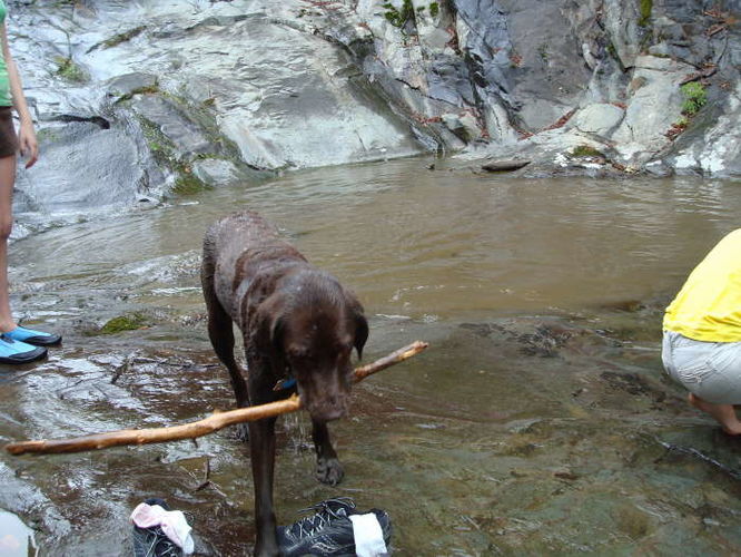 Picture 23 of Moormans River Hike 081410