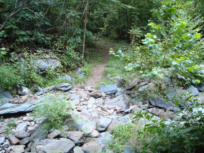 Picture 25 of Moormans River Hike 081410