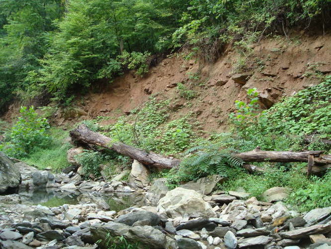 Picture 26 of Moormans River Hike 081410
