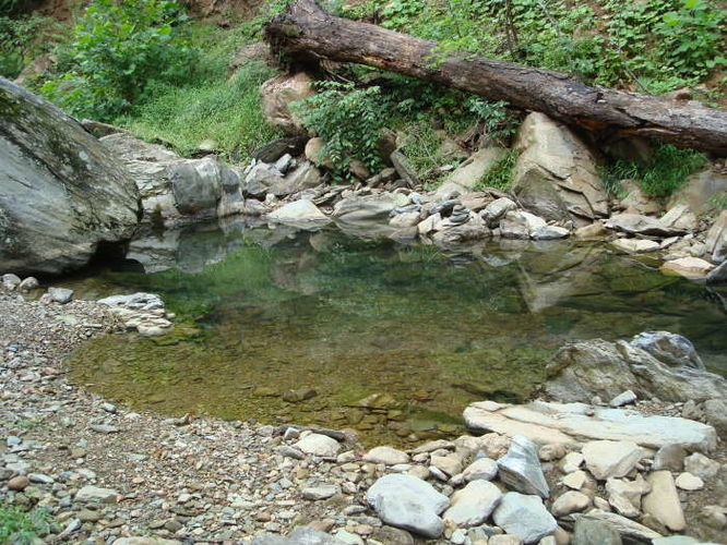 Picture 27 of Moormans River Hike 081410