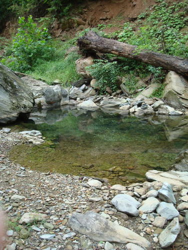 Picture 28 of Moormans River Hike 081410