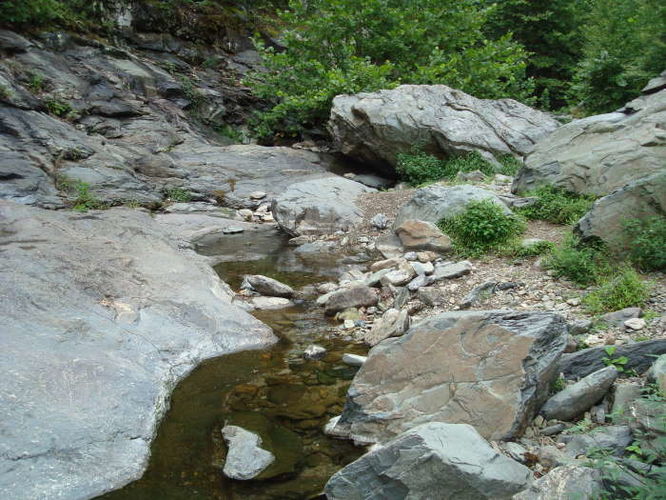 Picture 33 of Moormans River Hike 081410