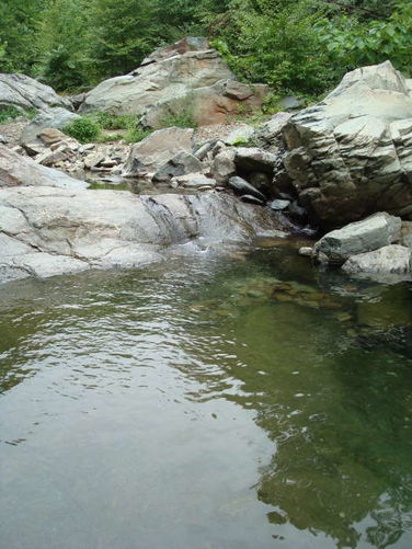 Picture 35 of Moormans River Hike 081410