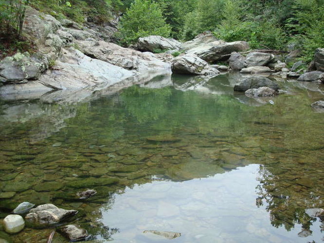 Picture 37 of Moormans River Hike 081410