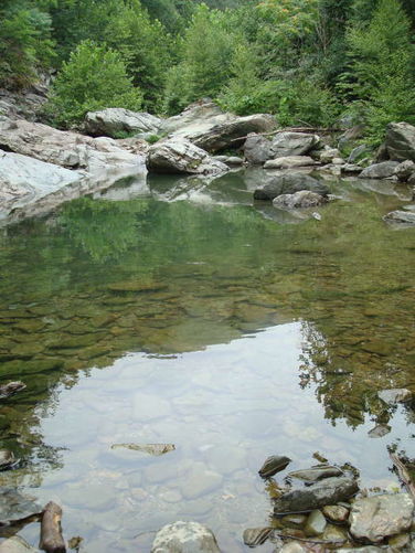 Picture 38 of Moormans River Hike 081410