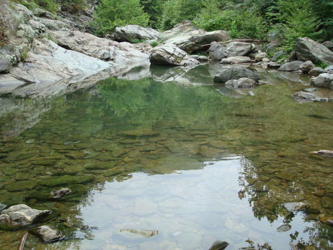 Picture 39 of Moormans River Hike 081410