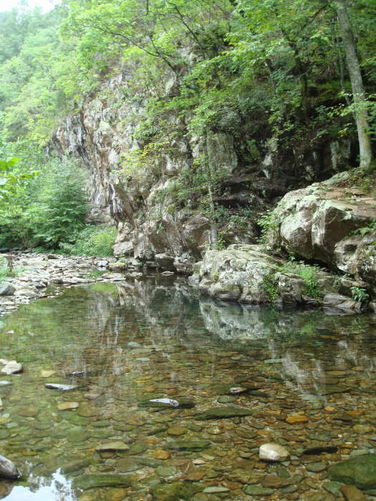 Picture 40 of Moormans River Hike 081410