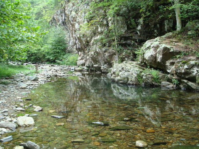 Picture 41 of Moormans River Hike 081410
