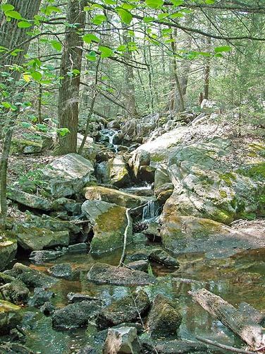 Picture 4 of Morgan Run Hike 051405