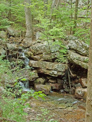 Picture 5 of Morgan Run Hike 051405