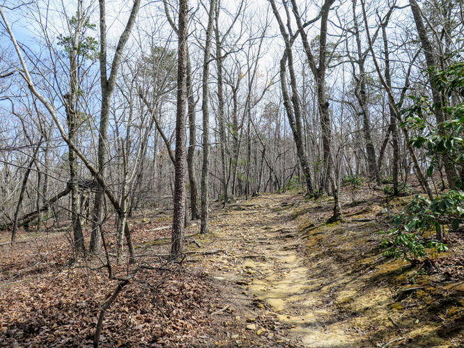 Picture 13 of Morrow Mountain Sugarloaf Mountain Hike 031117