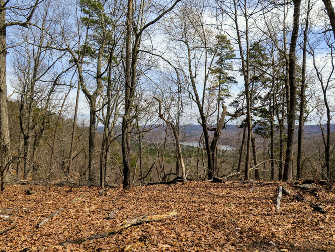 Picture 14 of Morrow Mountain Sugarloaf Mountain Hike 031117