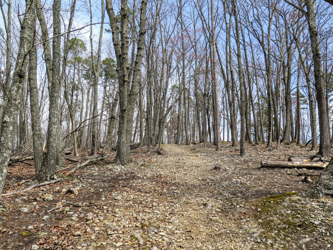 Picture 16 of Morrow Mountain Sugarloaf Mountain Hike 031117