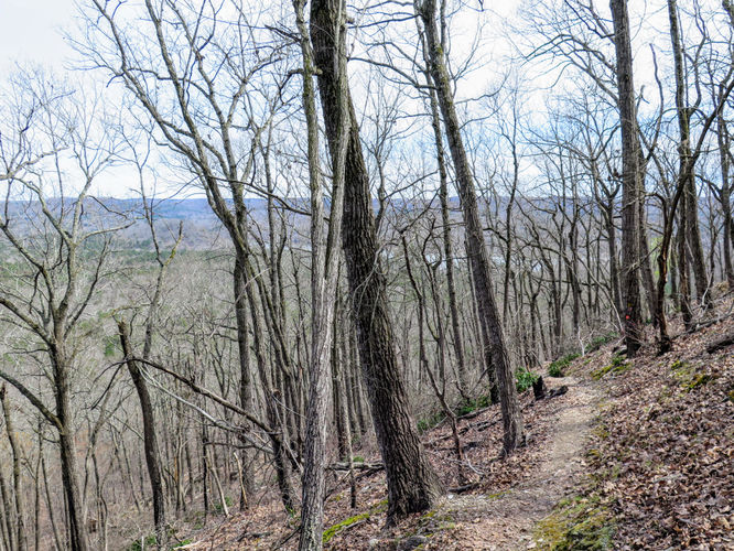 Picture 20 of Morrow Mountain Sugarloaf Mountain Hike 031117