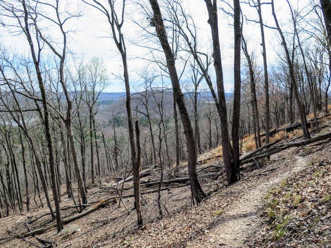 Picture 21 of Morrow Mountain Sugarloaf Mountain Hike 031117