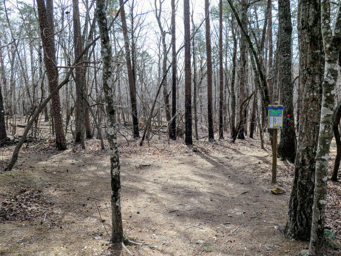 Picture 25 of Morrow Mountain Sugarloaf Mountain Hike 031117