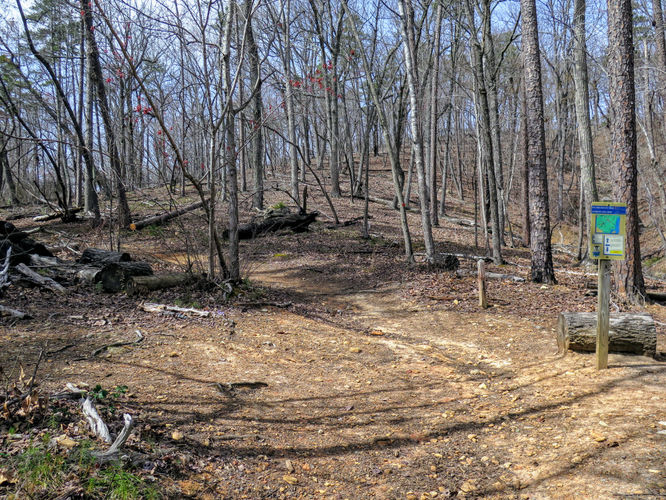 Picture 26 of Morrow Mountain Sugarloaf Mountain Hike 031117