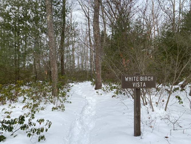 White Birch Vista spur trail