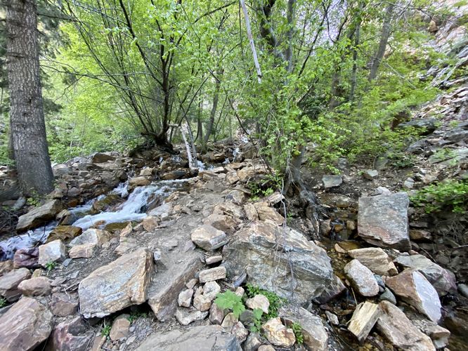 Trail runs adjacent to the creek on each side