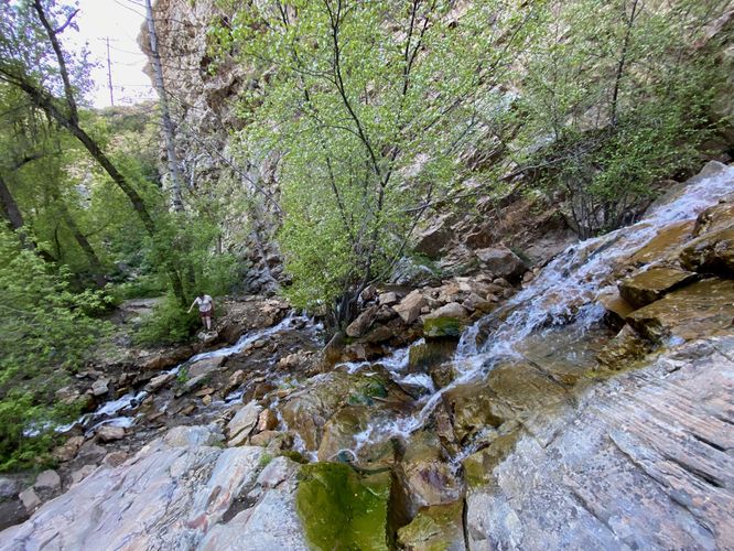 View from the bedrock of Moss Ledge Falls