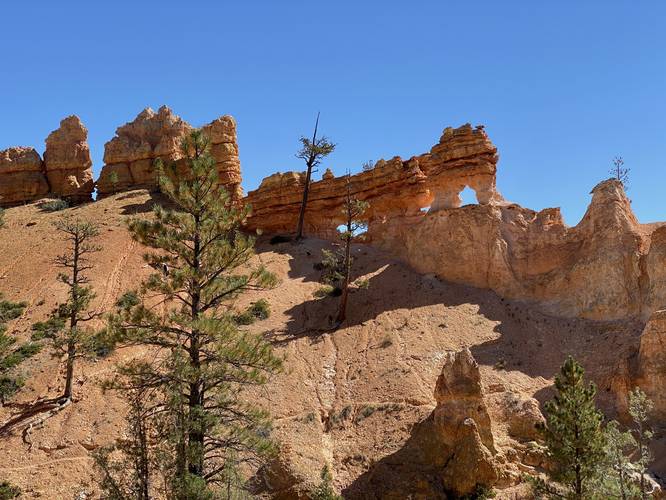 View of Little Windows and Turret Arches (Bryce Canyon)