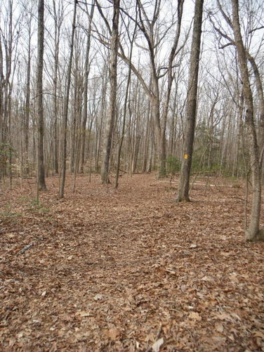 Picture 5 of Motts Run Reservoir Hike 040813